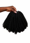 Koily Curl